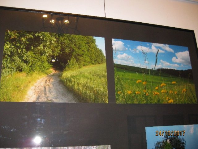 Wychowankowie Internatu  na wystawie fotografii ,, Wodny Dół”